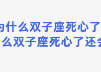 为什么双子座死心了 为什么双子座死心了还会哭